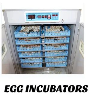 528 Eggs Automatic Incubator/Impoted Egg Incubator Ac/Dc