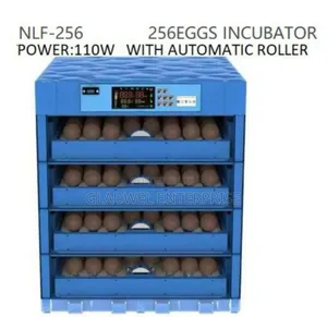 256eggs Incubator Automatic/Ac /Dc Power