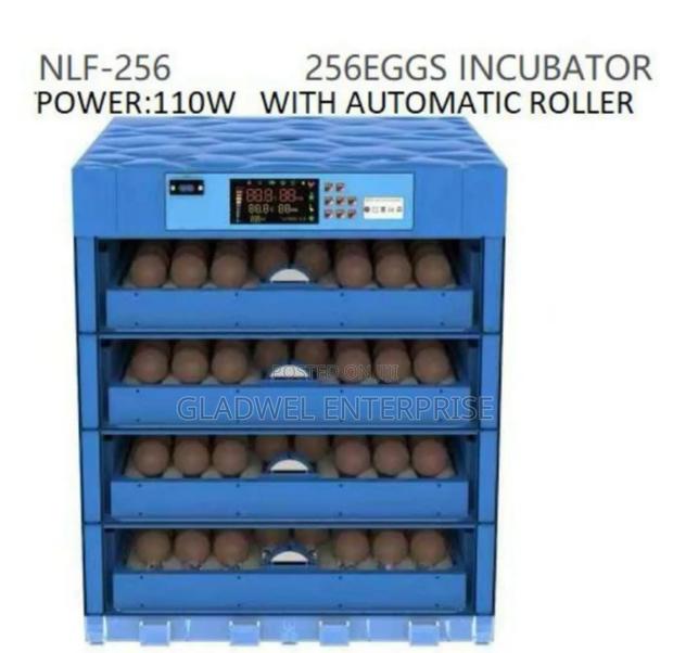 256eggs Incubator Automatic/Ac /Dc Power