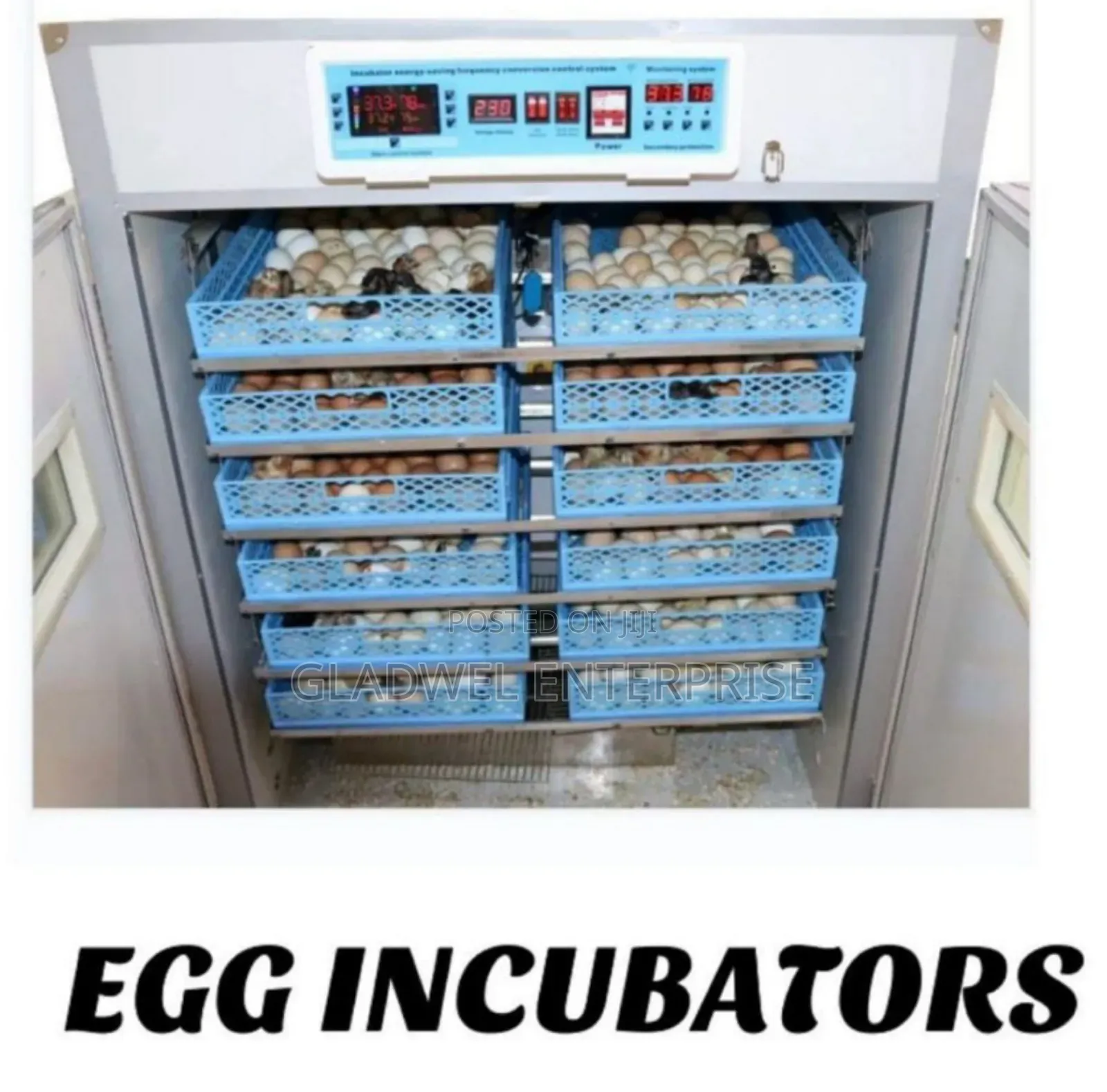 2112 Egg Incubator AC/DC . Automatic
