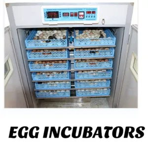 2112 Egg Incubator AC/DC . Automatic