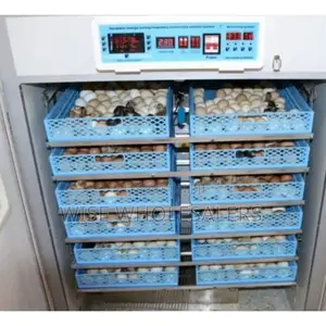 Poultry Egg Incubators For Hatching Eggs 528 Eggs