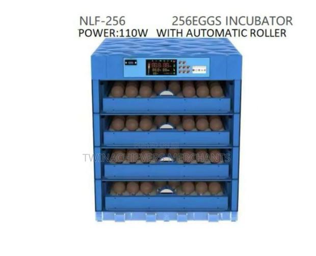 256egg Incubator/Automatic Ac/Dc Egg Incubator 256eggs