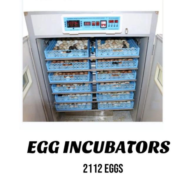 2112egg Incubator/Quality Ac/Dc Egg Incubator - thumbnail 2