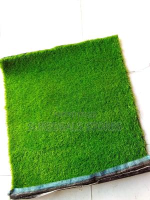 Artificial Grass Turf/Grass - thumbnail 2