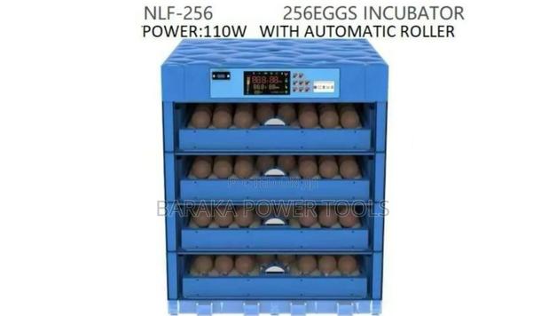 Eggs Incubator 256eggs
