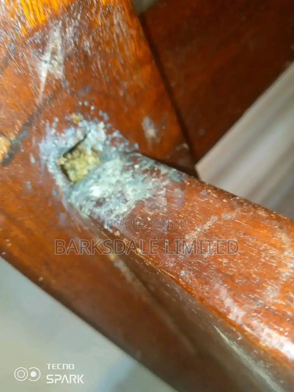 Bedbug Pest Control Cockroaches Insects Fumigation Cleaning