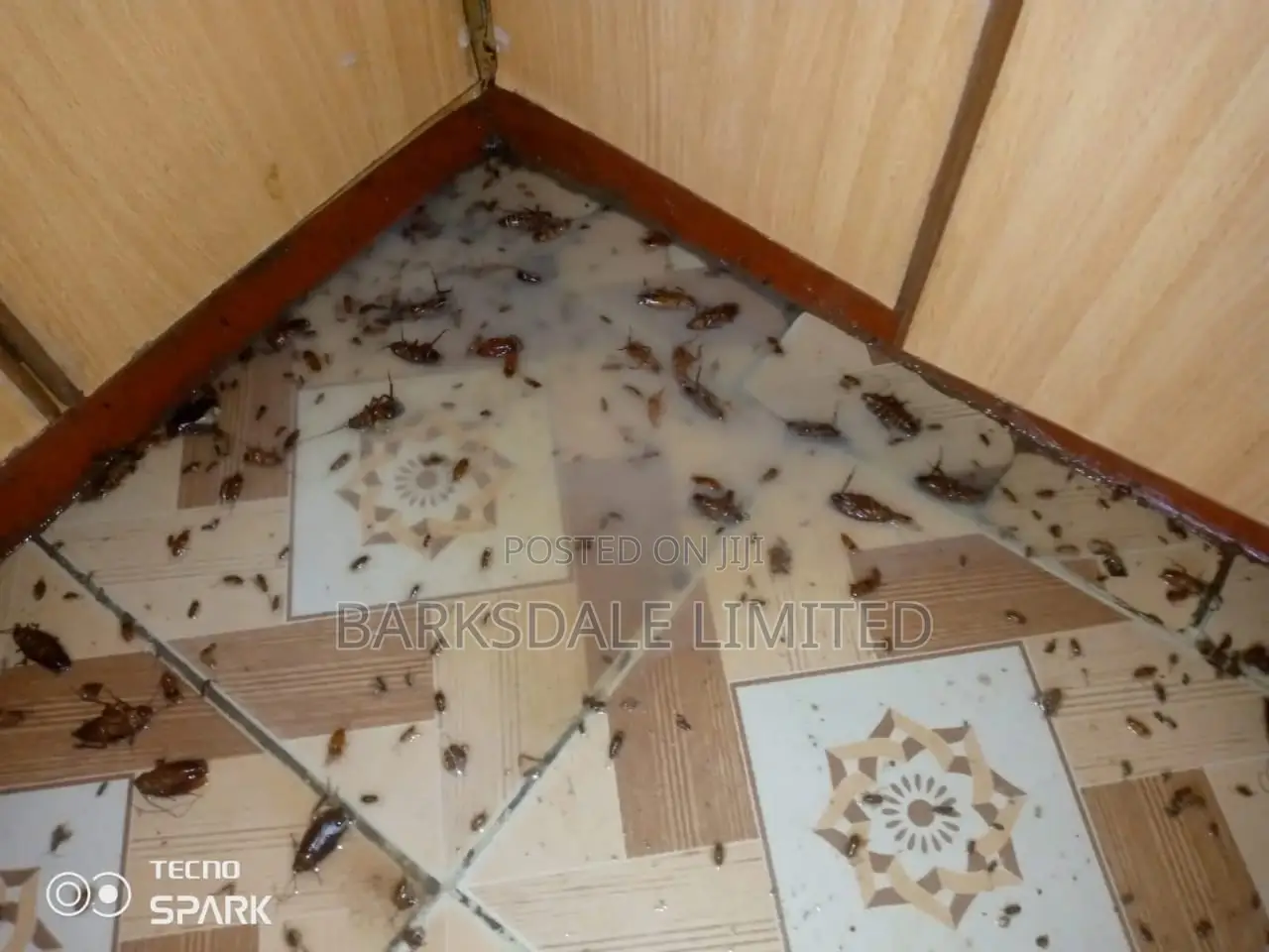 Bedbug Pest Control Cockroaches Insects Fumigation Cleaning