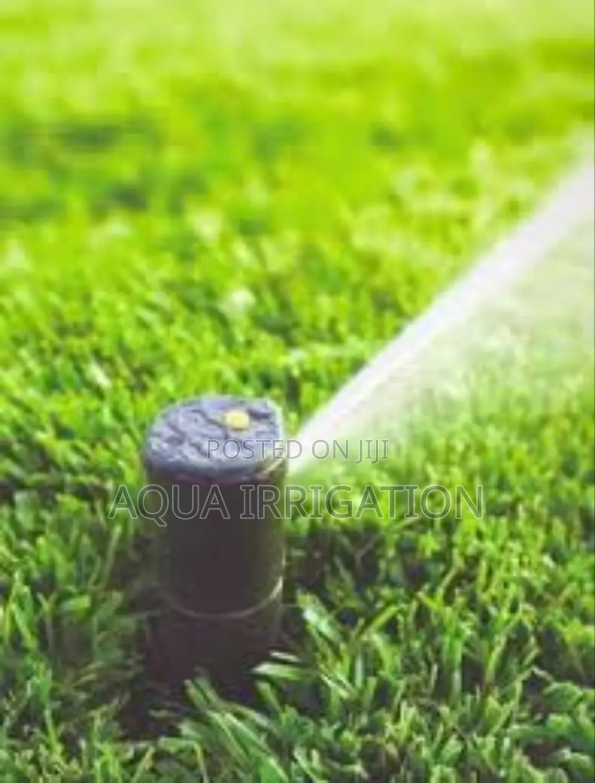 Precision Watering With Adjustable Pop-Up Sprinklers
