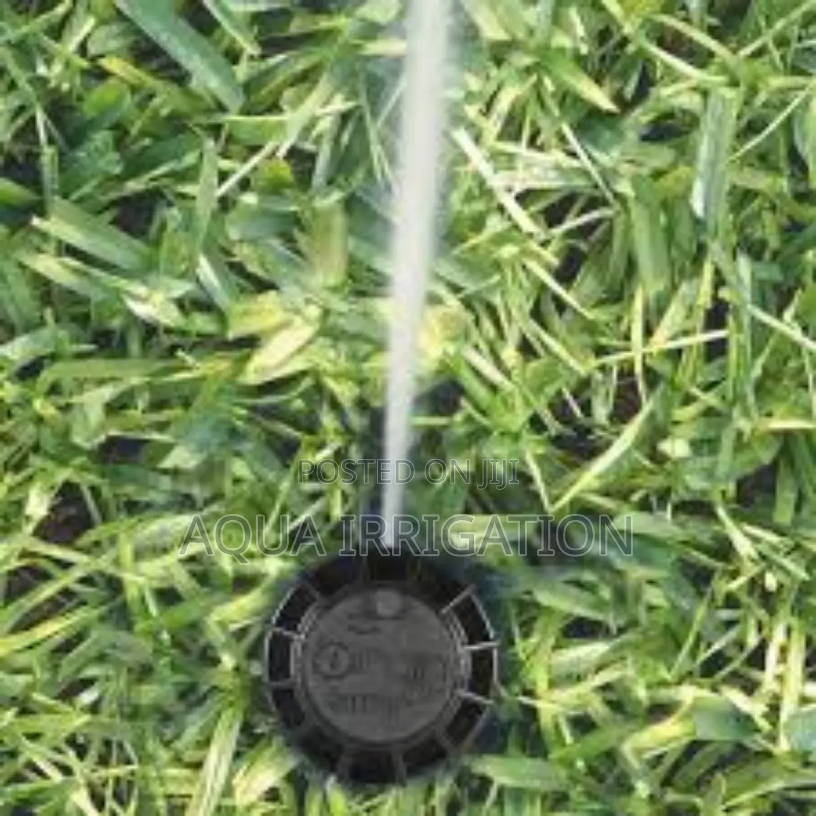 360° Coverage Pop-Up Sprinklers for Perfect Lawns