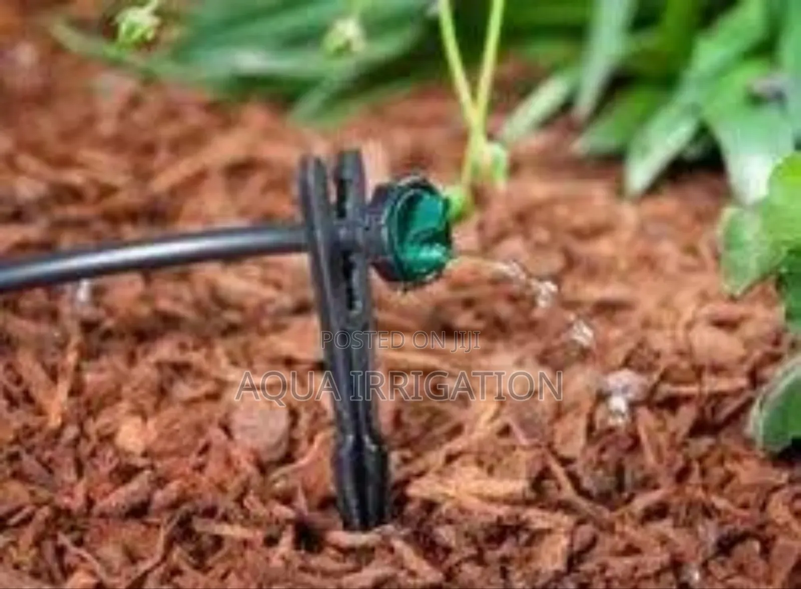 Targeted Watering With Efficient Button Drippers