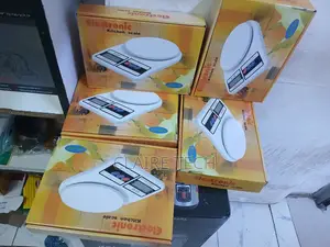 Electronic Kitchen Scale