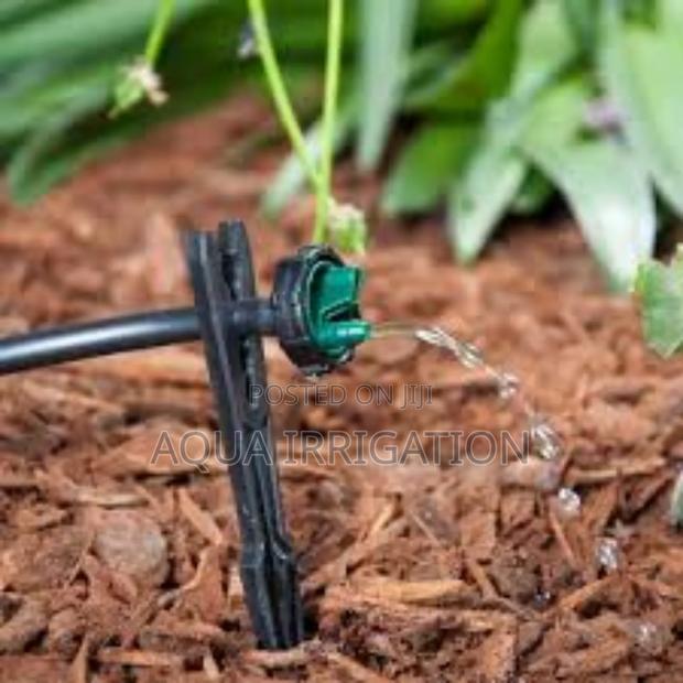 Micro-Irrigation Made Simple With Button Drippers