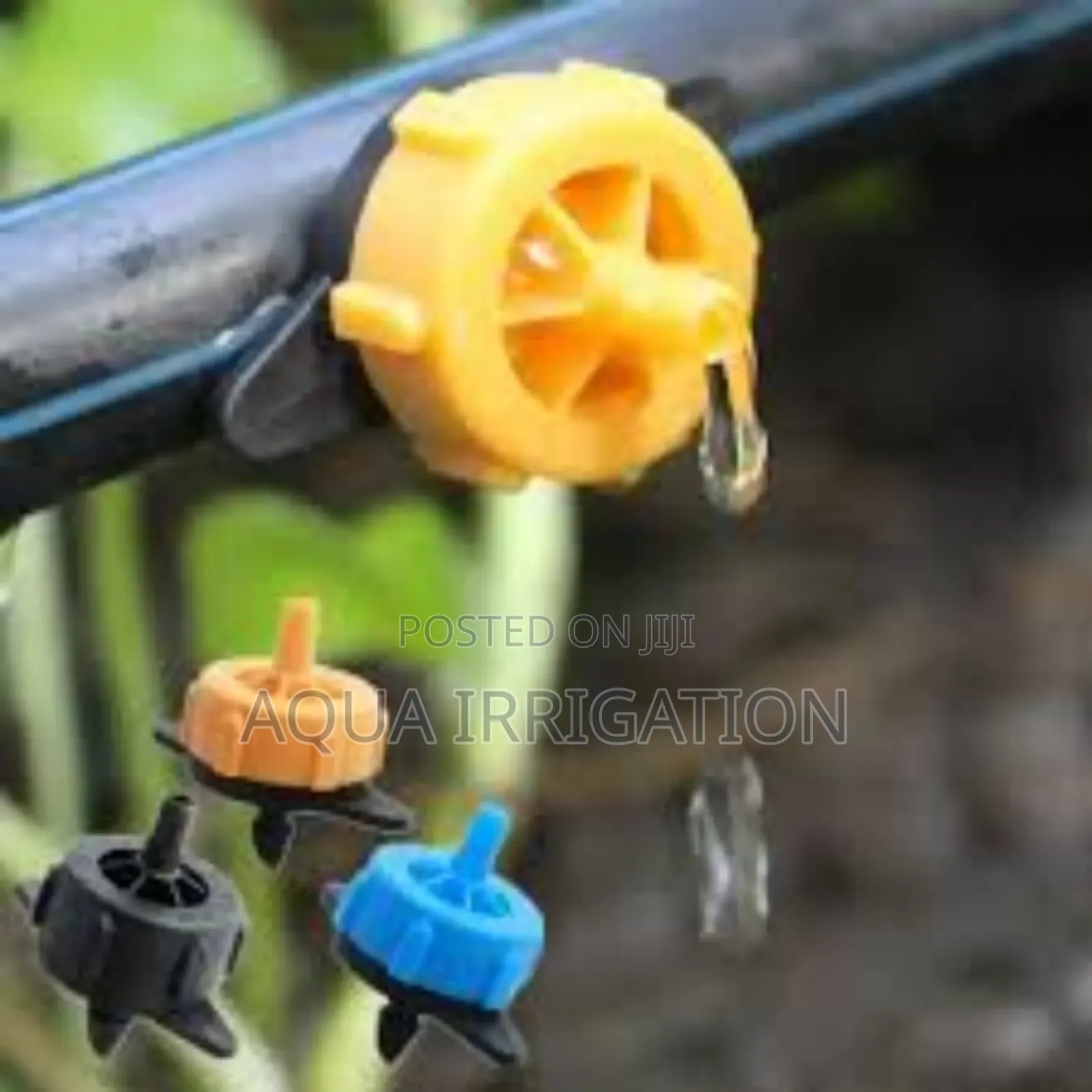 Slow-Drip Irrigation for Healthier Plants