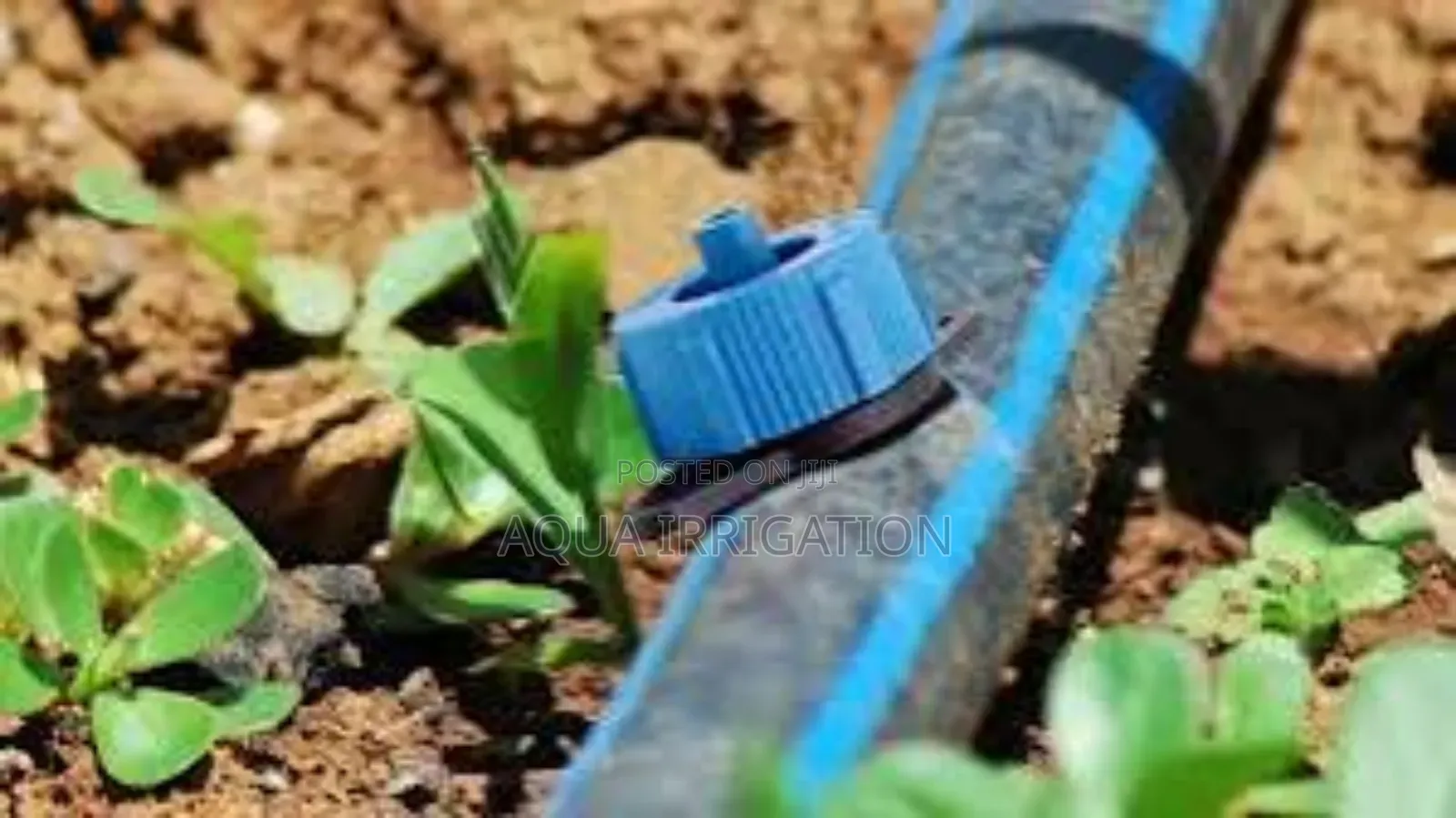 High-Performance Button Drippers for Farming