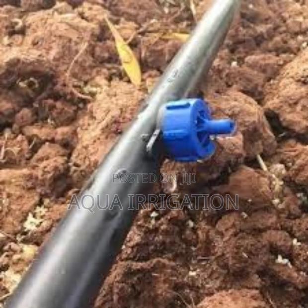 Even Water Distribution With Button Drippers