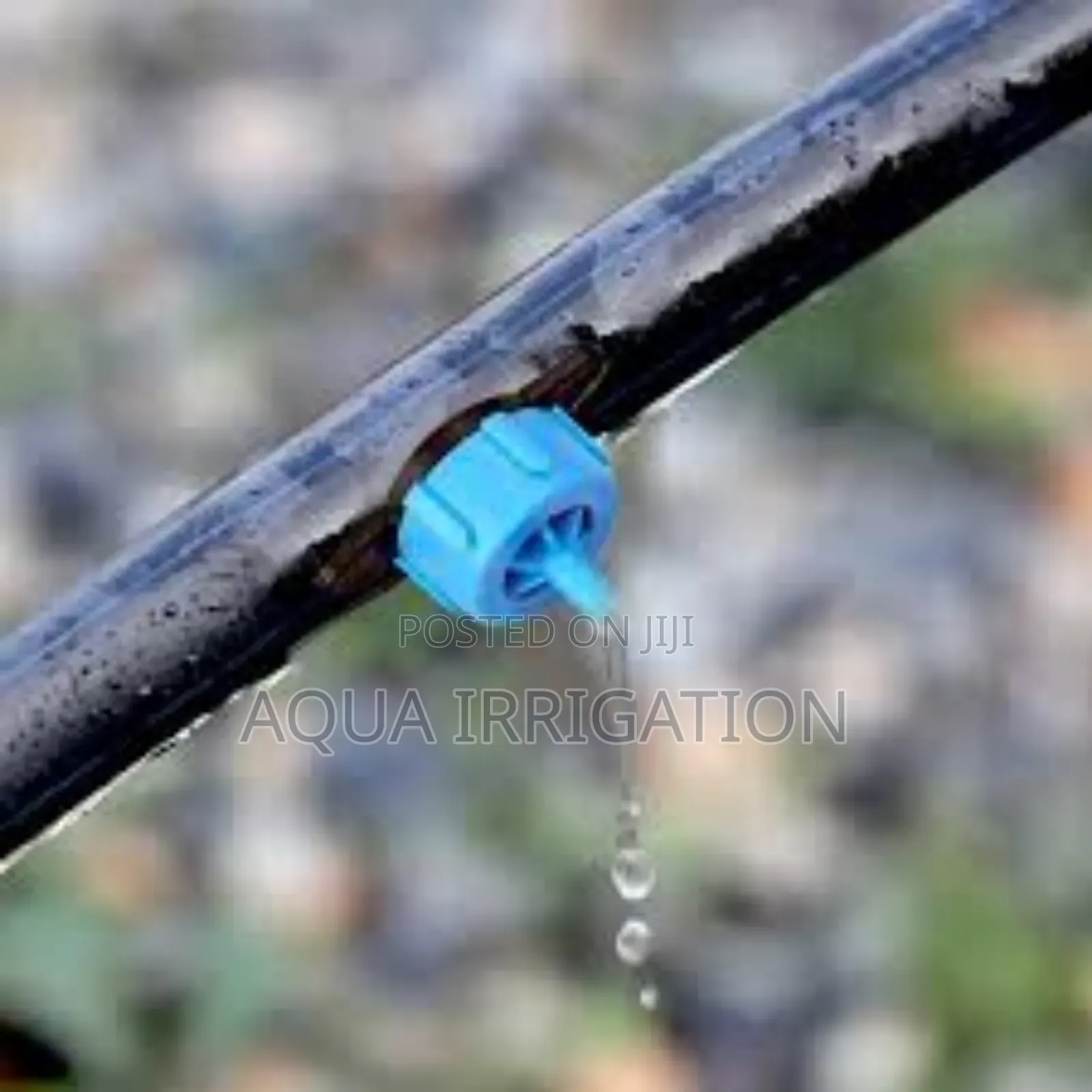 Uv-Resistant Button Drippers for Long-Term Use