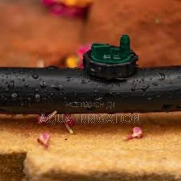 Upgrade Your Drip System With Button Drippers - main view