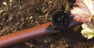 Best Button Drippers for Potted Plants Gardens