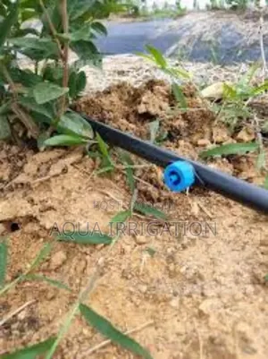 Precision Watering With Adjustable Drippers