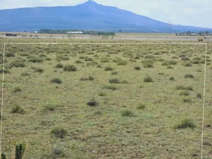 3 Acres in Naivasha ,Touching Tarmac