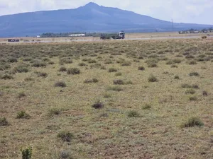 3 Acres in Naivasha ,Touching Tarmac