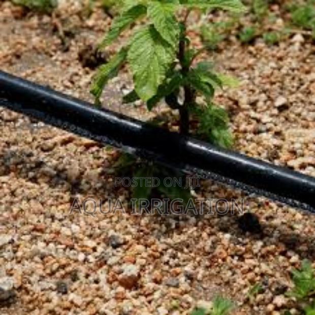 Drip Irrigation Made Easy With Button Drippers - main view