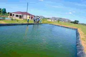 Fishpond Farming With Brilliance - main view