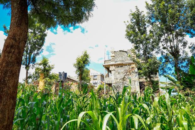 Prime Commercial Plot for Sale in Ruaka, Muchatha - thumbnail 4