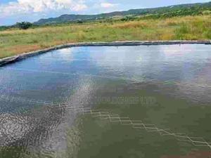 Fishpond Construction Is Our Core Business - main view