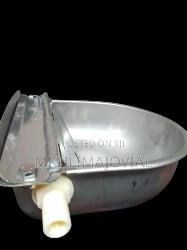 Stainless Auto Automatic Cow Drinker