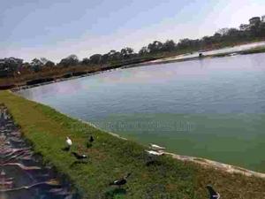 Fishpond Services With Assured Success - main view