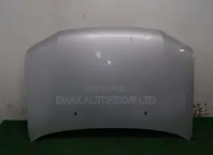 Bonnet Probox Old Model Ex Japan