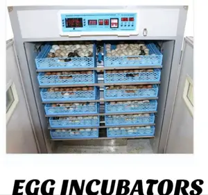 Egg Incubator 528 Eggs