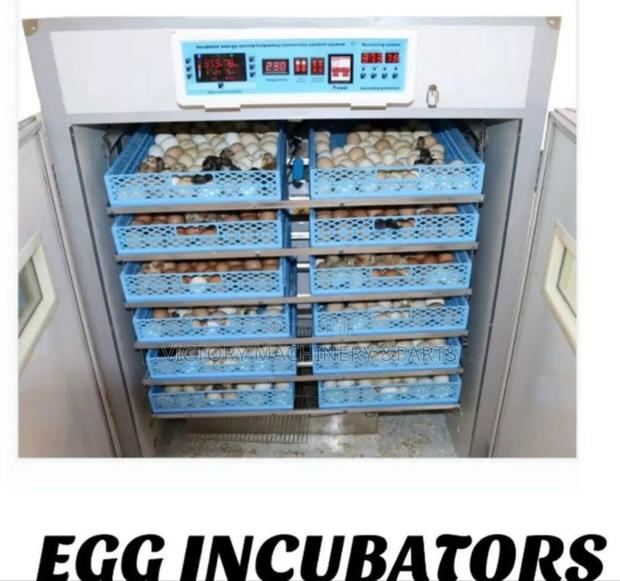 Egg Incubator 528 Eggs - main view