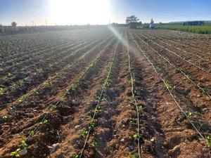 We Are Drip Irrigation Leading Expert - main view