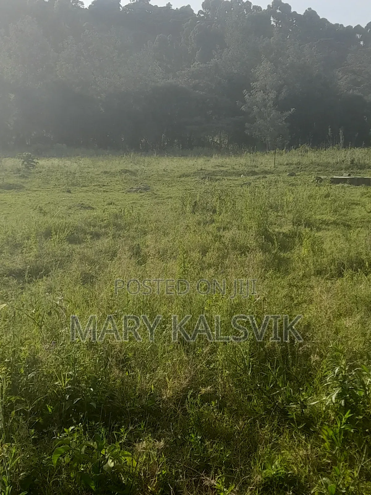 1/8 Plots Kaurrai Road (1km From Tarmac)