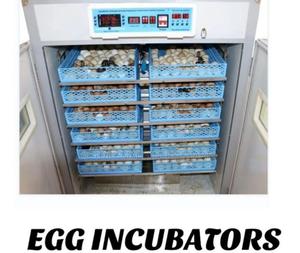 Egg Incubator 2112 Eggs - thumbnail 2