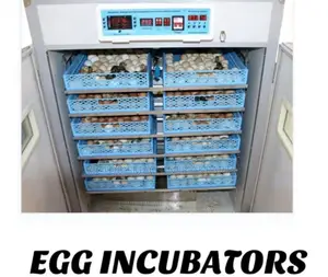 Egg Incubator 2112 Eggs