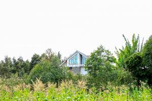 Prime 1/2-Acre Residential Plot for Sale - Kikuyu, Lusigetti - thumbnail 2