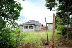 Prime 1/2-Acre Residential Plot for Sale - Kikuyu, Lusigetti