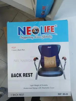 Back Rest (BS-08)