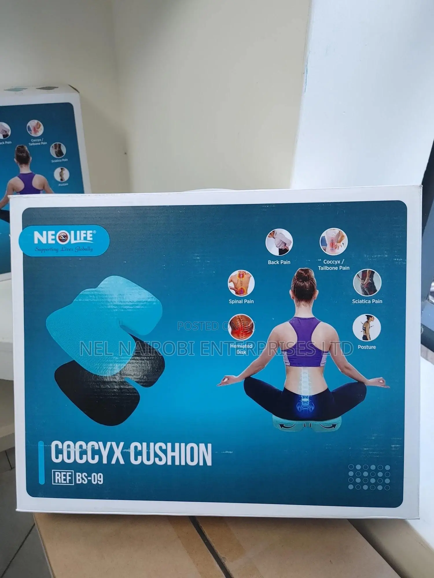 Coccyx Cushion