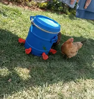 Automatic Chicken Water Feeder Chicken Water Bowls