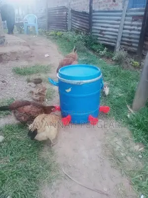 Automatic Chicken Water Feeder Chicken Water Bowls