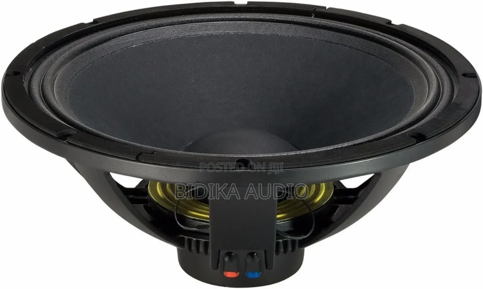 RCF L18p300 18-Inch Car and Dj Woofer | 2000w Power