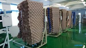 Inflatable Bubble Air Matresd - main view