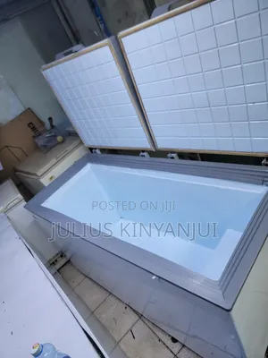 Commercial Two Doors Freezer