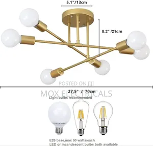 Surpars House Modern Ceiling Light