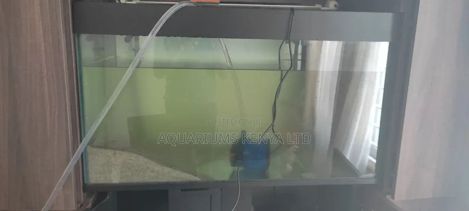 Professional Aquarium Maintenance Contract